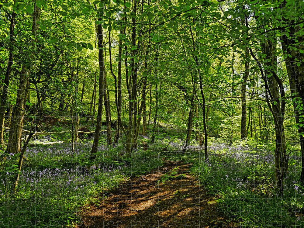 Britain Jigsaw Puzzle featuring the photograph Bee Wood - Bluebells by Rod Johnson