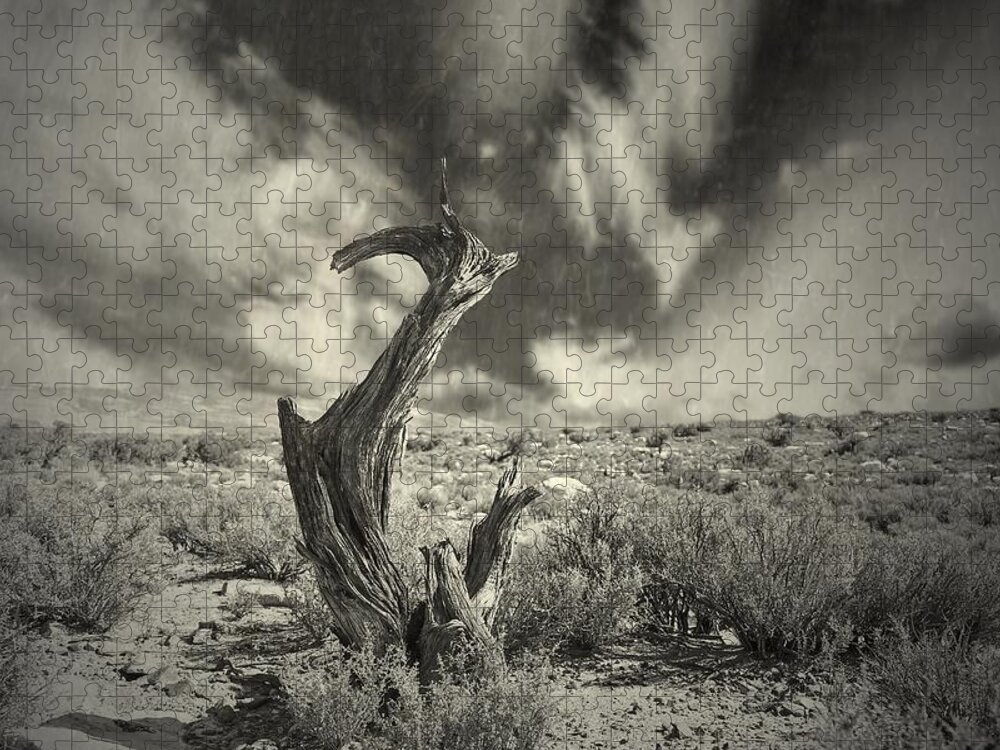 Tree Jigsaw Puzzle featuring the photograph before I knew you by Mark Ross