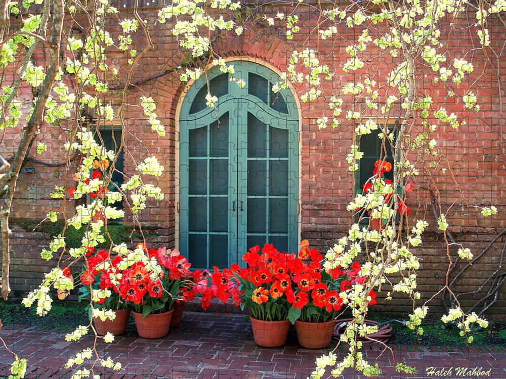 Landscape Jigsaw Puzzle featuring the photograph Tulips Filoli Garden San Francisco by Haleh Mahbod