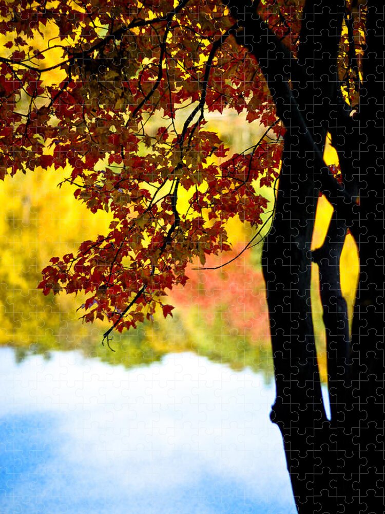 Landscape Jigsaw Puzzle featuring the photograph Beneath the Leaves by Crystal Wightman