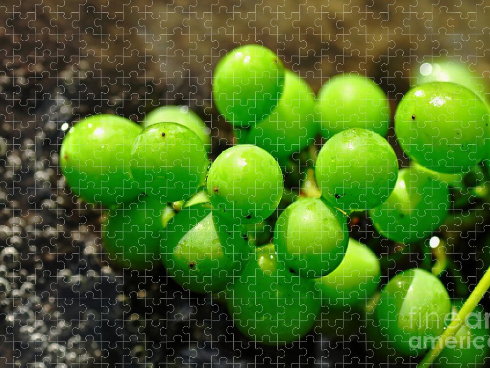 Photograhy Jigsaw Puzzle featuring the photograph Berries on Water by Kaye Menner