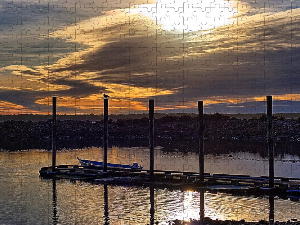 Sunset Jigsaw Puzzle featuring the photograph Bird - Boat - Bay by Chriss Pagani