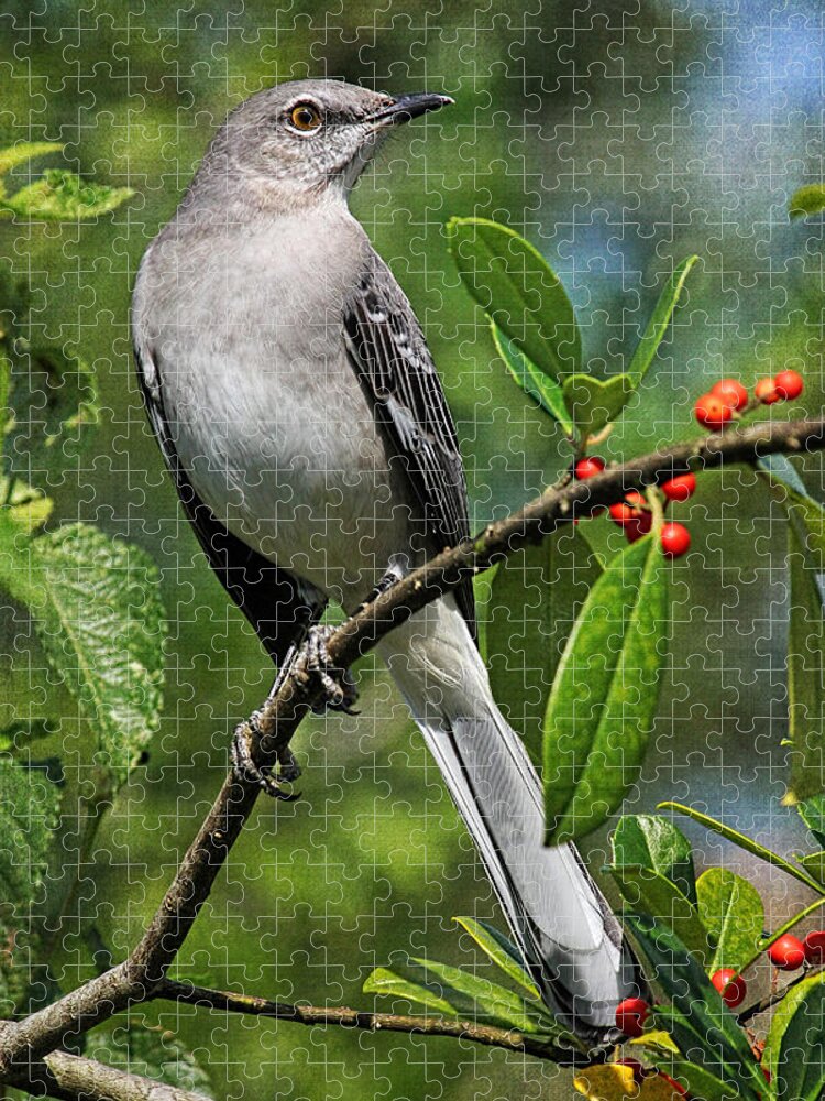 Mockingbird Jigsaw Puzzle featuring the photograph Birds - Northern Mockingbird by HH Photography of Florida