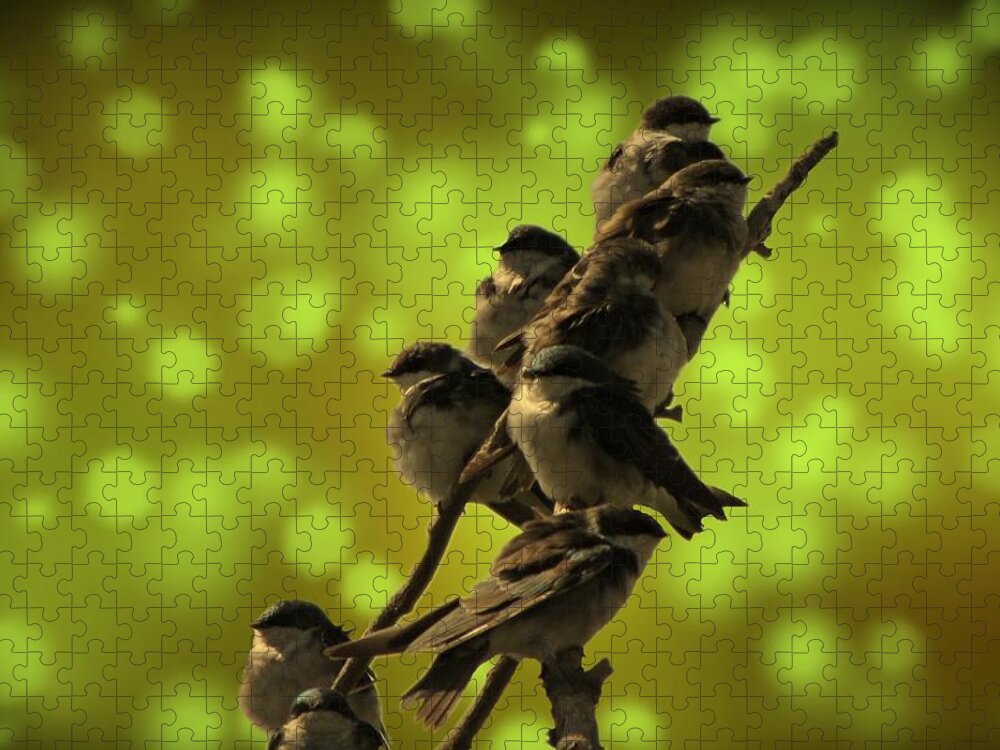Bird Jigsaw Puzzle featuring the photograph Birds of A Feather by David Dehner