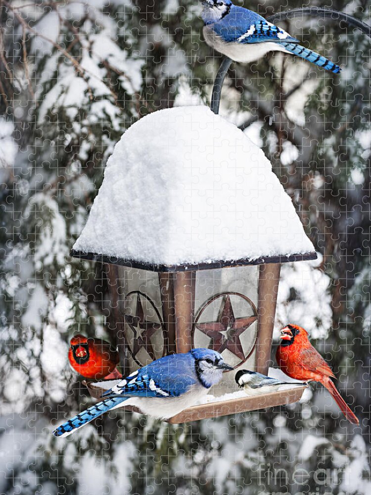 Birds Jigsaw Puzzle featuring the photograph Birds on bird feeder in winter by Elena Elisseeva