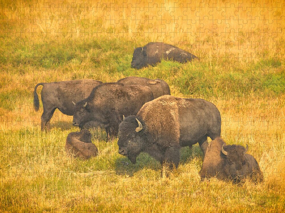 Bison Jigsaw Puzzle featuring the photograph Bison Family by Greg Norrell