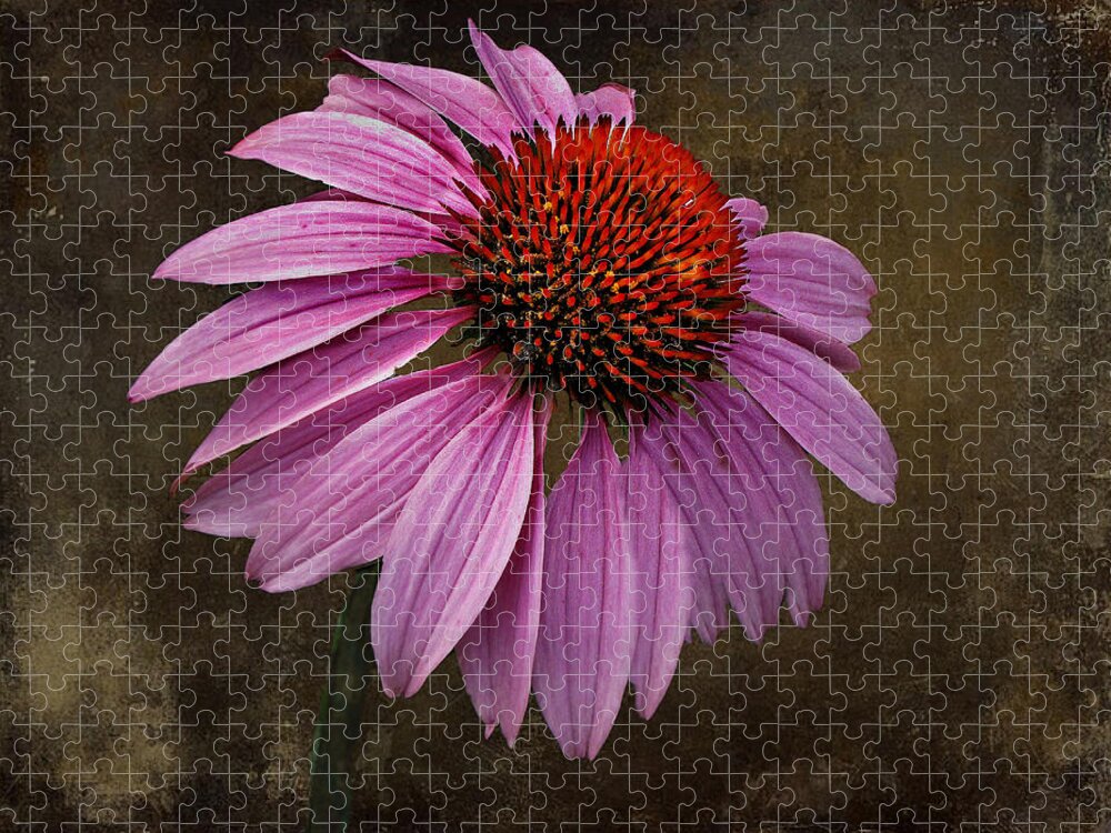 Flower Jigsaw Puzzle featuring the photograph Bittersweet Memories by David Dehner