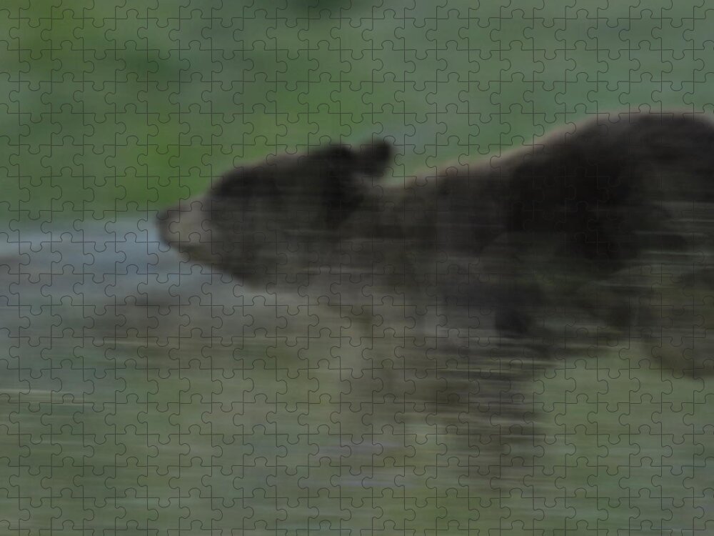 Black Bear Jigsaw Puzzle featuring the photograph Black Bear Cub by Frank Madia