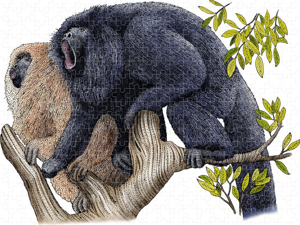Illustration Jigsaw Puzzle featuring the photograph Black Howler Monkeys by Roger Hall