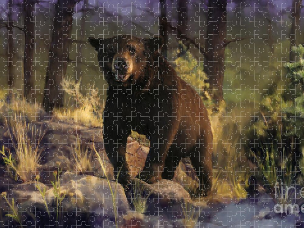 Bear Jigsaw Puzzle featuring the painting Black max by Robert Corsetti