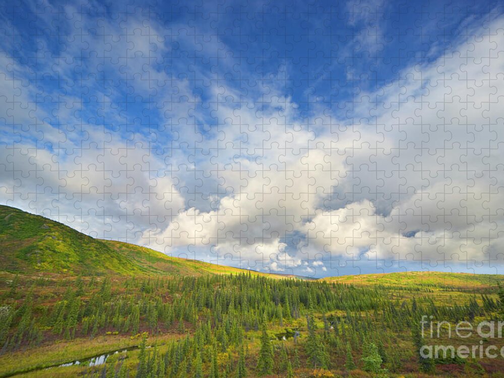 00431045 Puzzle featuring the photograph Black Spruce on Fall Tundra by Yva Momatiuk John Eastcott