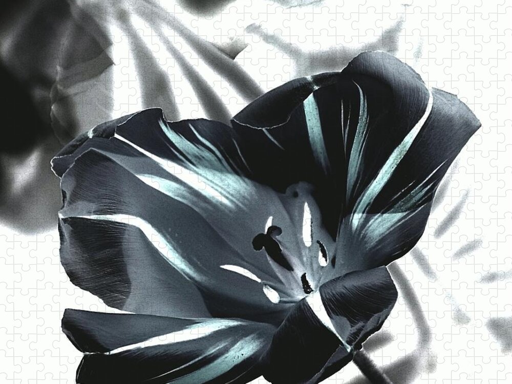 Black Tulip Jigsaw Puzzle featuring the photograph Black Tulip II by Andrea Lazar