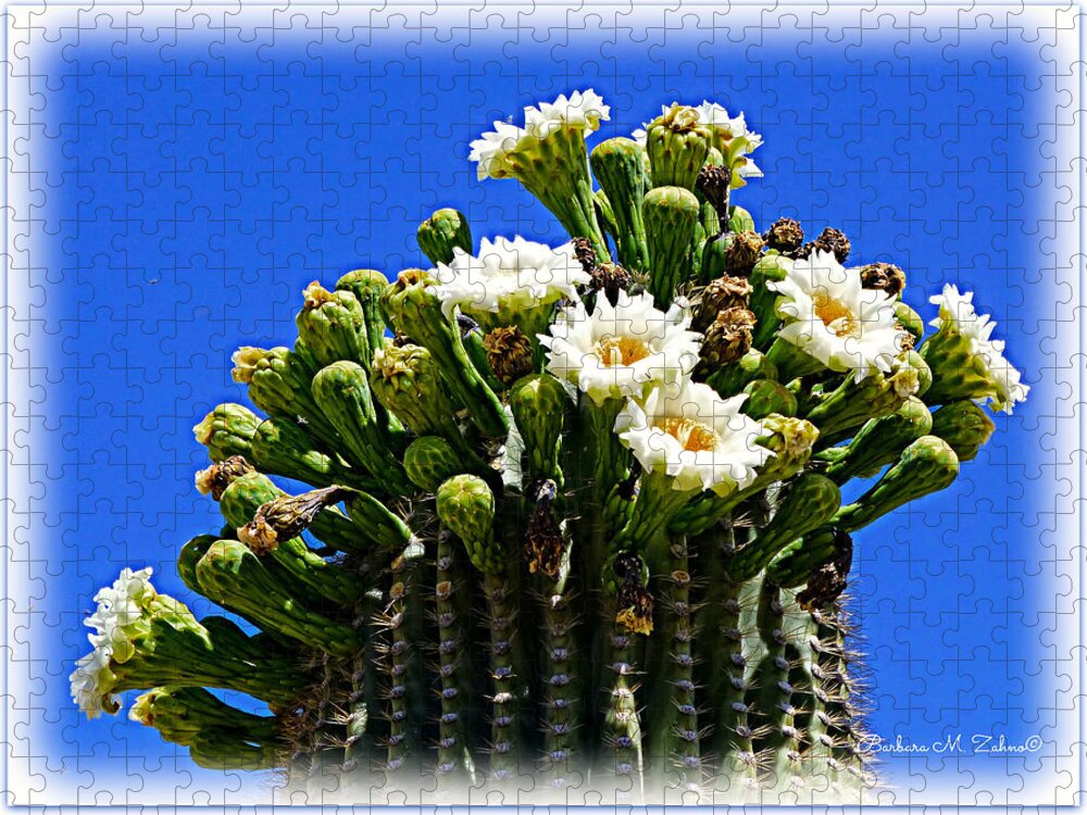 Arizona Jigsaw Puzzle featuring the photograph Blooming Saguaro by Barbara Zahno
