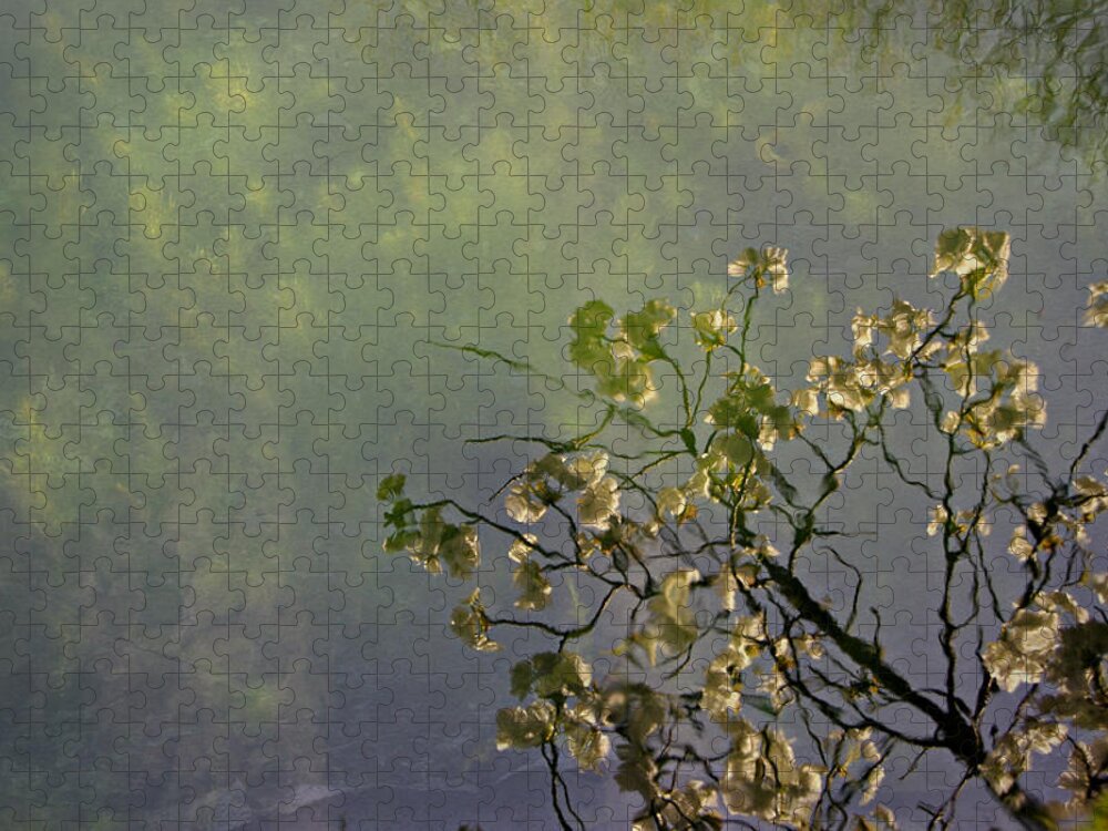 Blossom Reflection Jigsaw Puzzle featuring the photograph Blossom Reflection by Marilyn Wilson