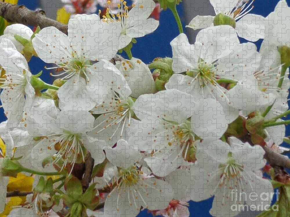 Flower Jigsaw Puzzle featuring the photograph Blossoming by Christina Verdgeline