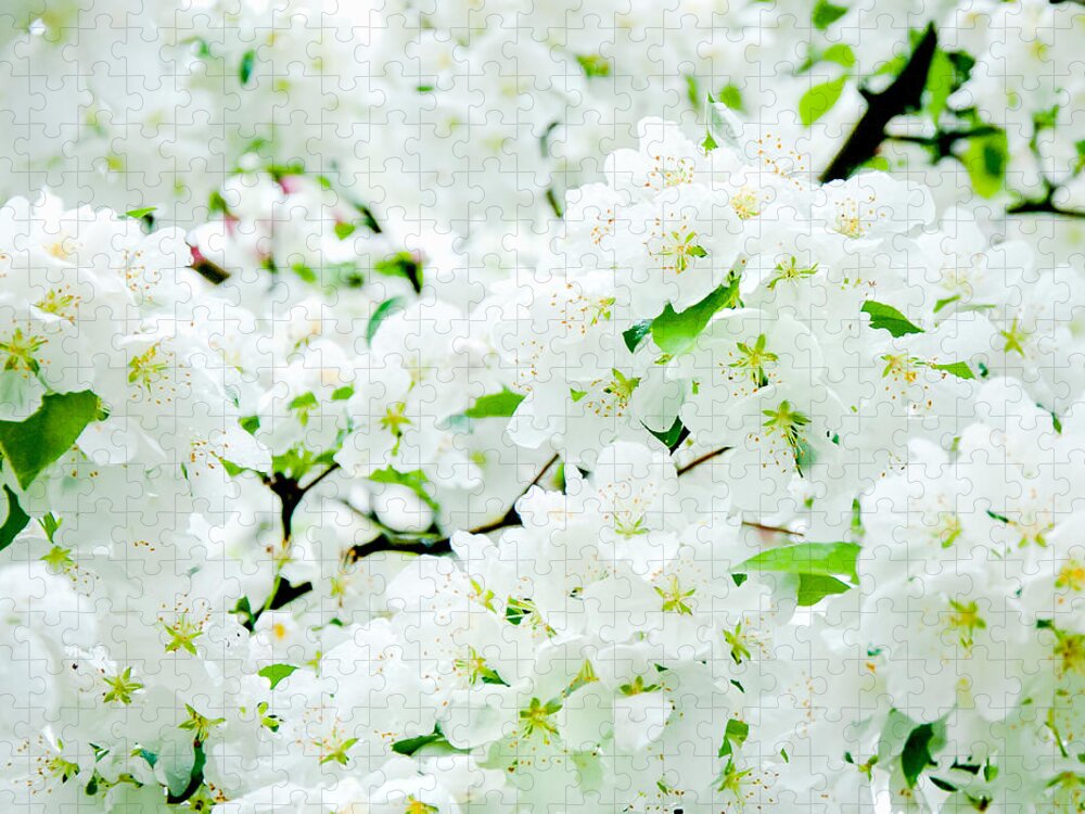 Blossoms Jigsaw Puzzle featuring the photograph Blossoms Squared by Greg Fortier