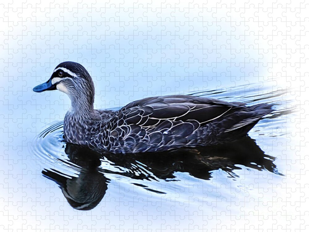 Blue Billed Duck Jigsaw Puzzle featuring the photograph Blue Billed Duck by Kaye Menner