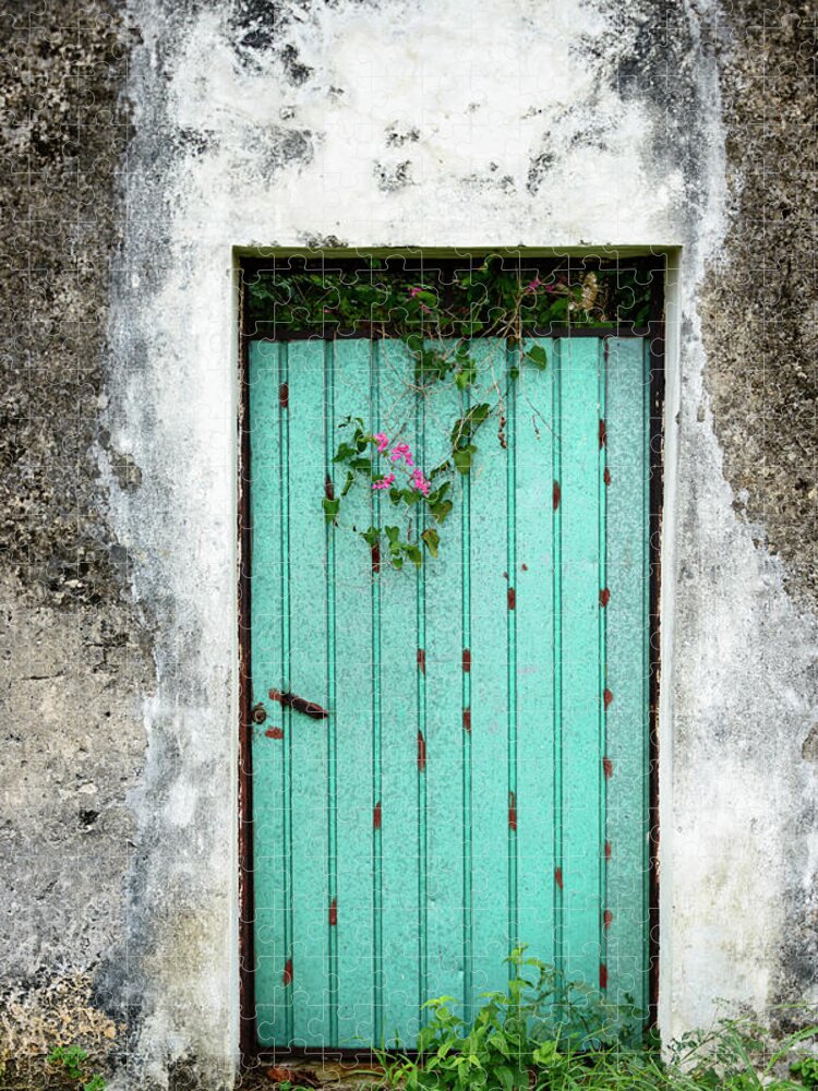 Built Structure Jigsaw Puzzle featuring the photograph Blue Door -xxxl by Ogphoto