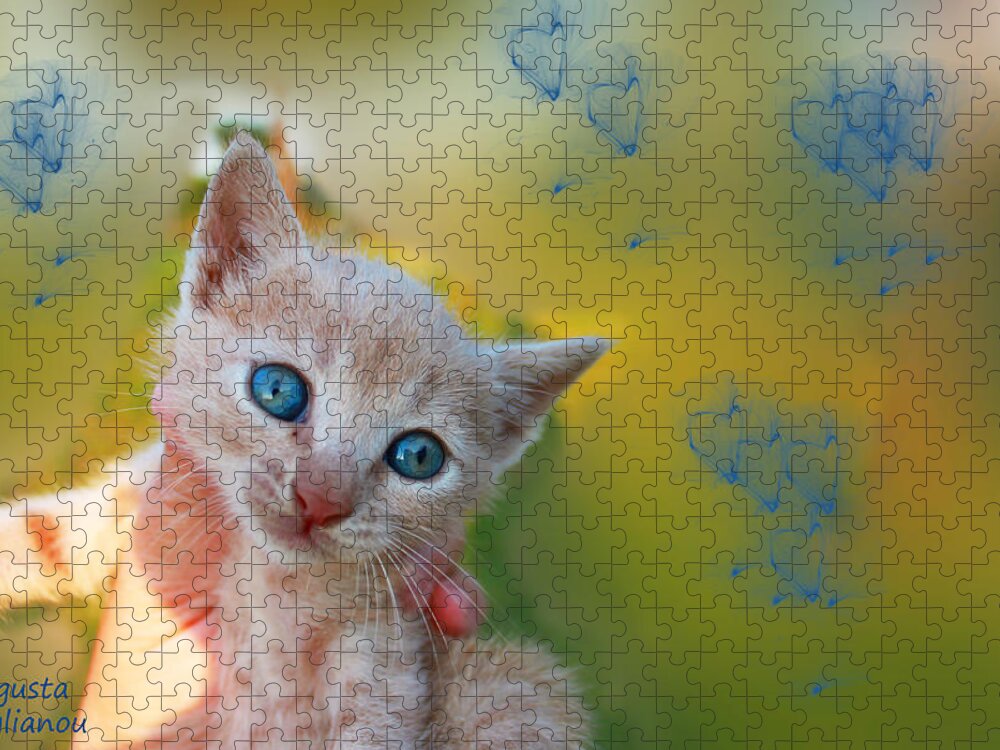 Augusta Stylianou Jigsaw Puzzle featuring the photograph Blue Eyes Kitten by Augusta Stylianou