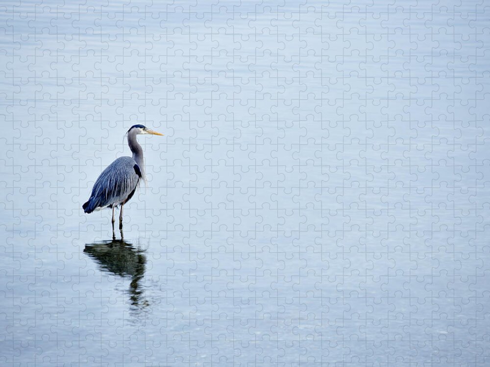 Long Jigsaw Puzzle featuring the photograph Blue Heron by Temmuzcan