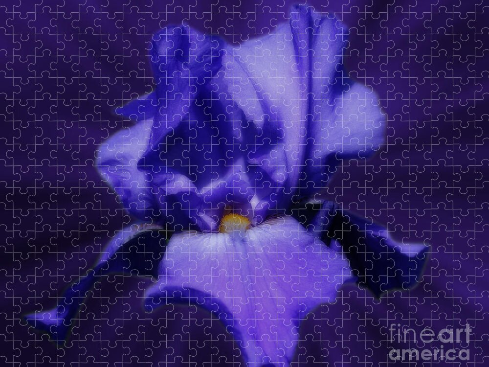 Iris Jigsaw Puzzle featuring the photograph Blue Iris Flower by Smilin Eyes Treasures