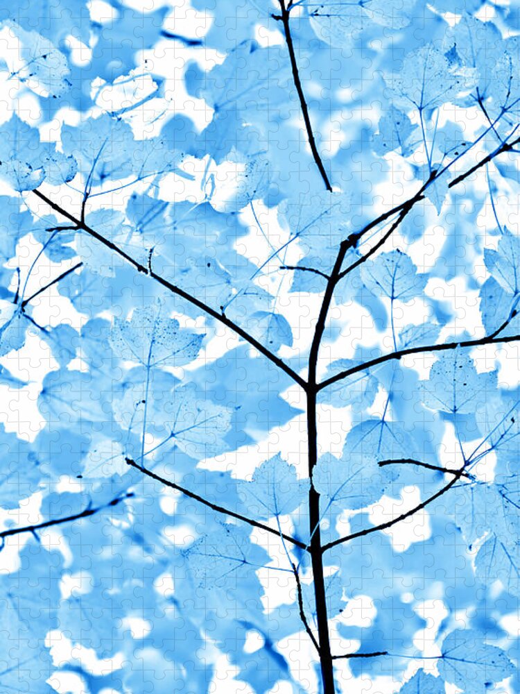 Leaf Jigsaw Puzzle featuring the photograph Blue Leaves Melody by Jennie Marie Schell