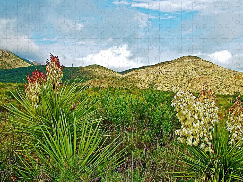 Blue Yucca And Chisos Mountains In Big Bend National Park Jigsaw Puzzle featuring the photograph Blue Yucca and Chisos Mountains in Big Bend National Park-Texas by Ruth Hager