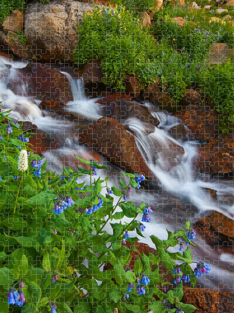 Stream Jigsaw Puzzle featuring the photograph Bluebell Creek by Darren White
