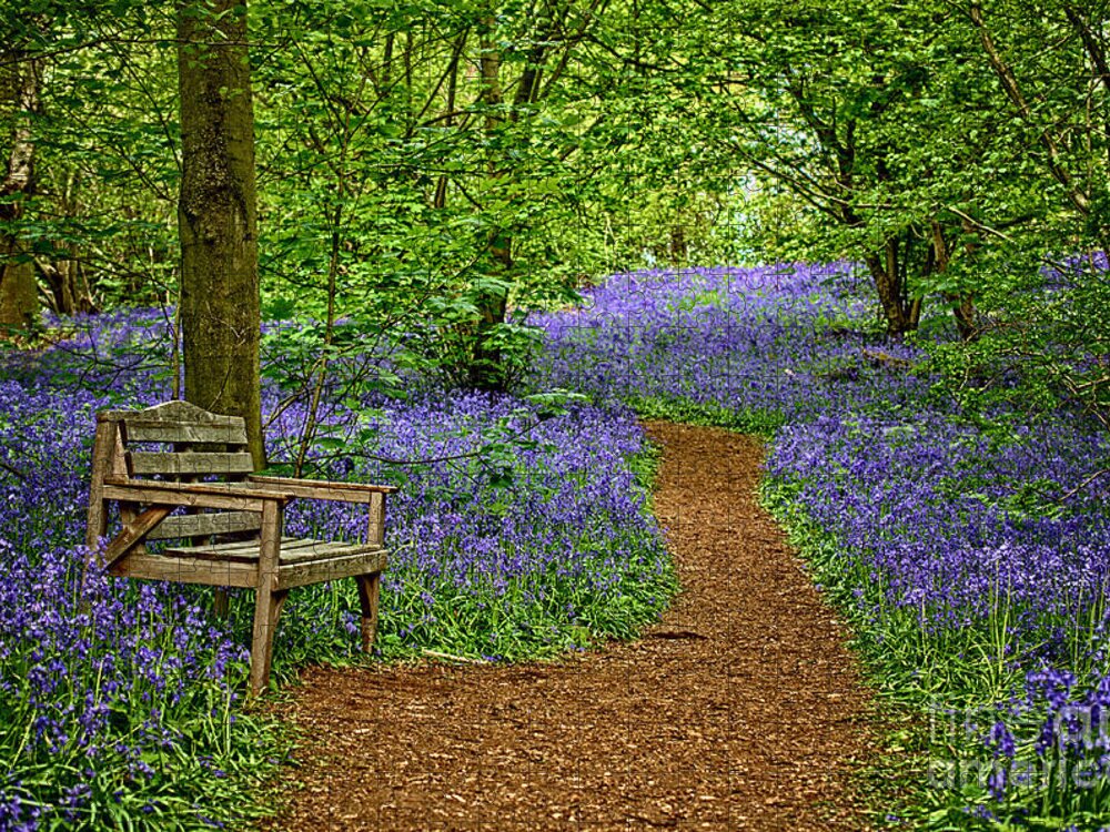 Woodland Jigsaw Puzzle featuring the photograph Bluebell path by Steev Stamford