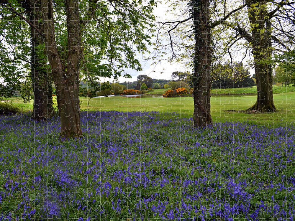 Ireland Jigsaw Puzzle featuring the photograph Bluebell Wood Waterford by Terence Davis