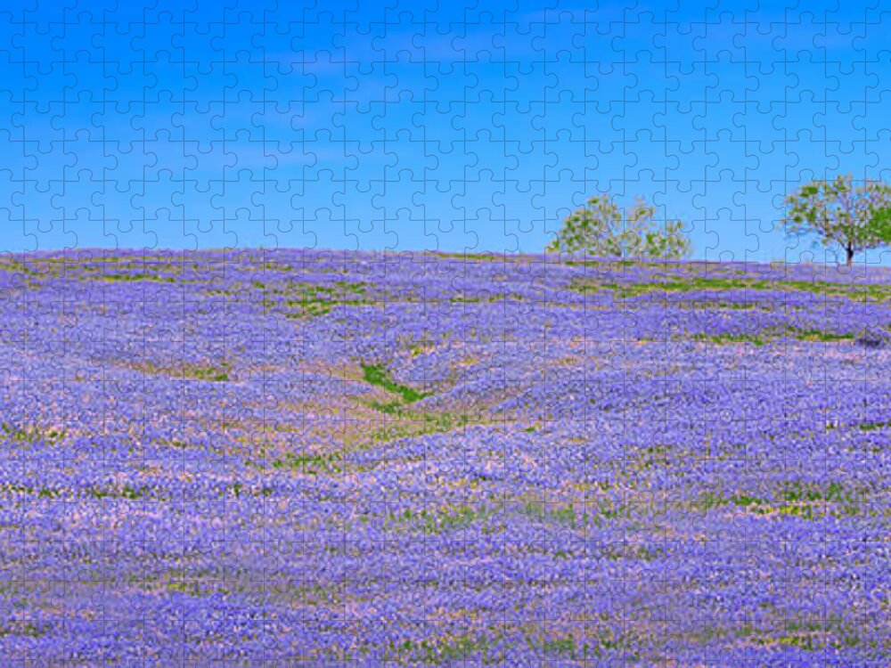 Texas Bluebonnets Jigsaw Puzzle featuring the photograph Bluebonnet Vista Texas - Wildflowers landscape flowers by Jon Holiday