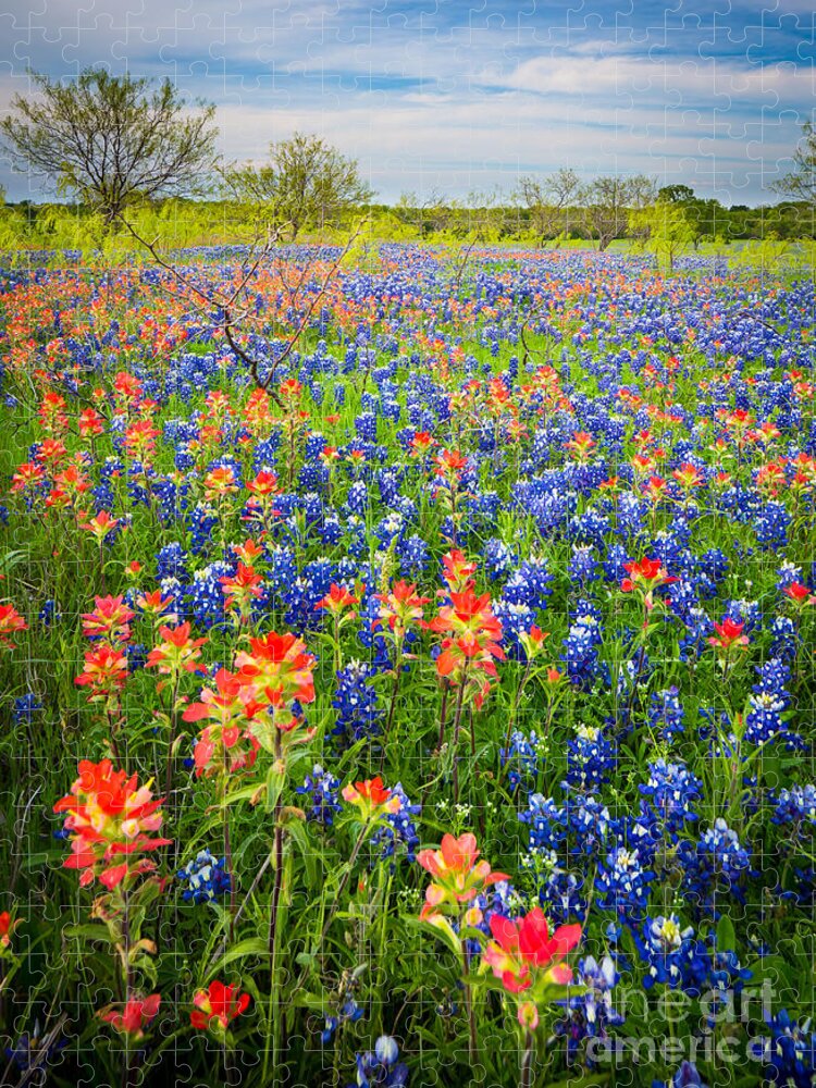 America Jigsaw Puzzle featuring the photograph Bluebonnets and Prarie Fire by Inge Johnsson