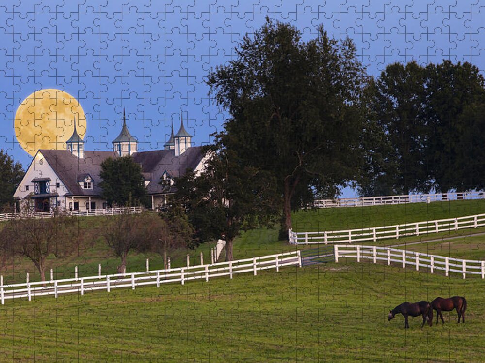 Farm Jigsaw Puzzle featuring the photograph Bluegrass Moonrise by Alexey Stiop