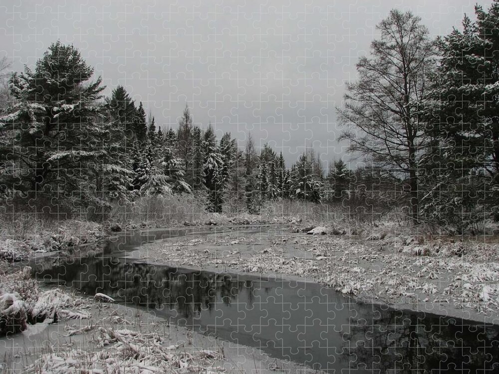 Black And White Jigsaw Puzzle featuring the photograph Boot Creek Ice Over by Dale Kauzlaric