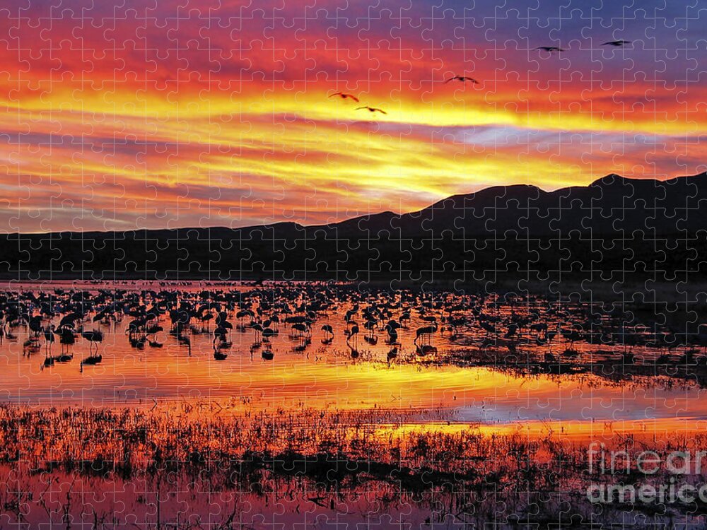 Ralser Jigsaw Puzzle featuring the photograph Bosque sunset II by Steven Ralser