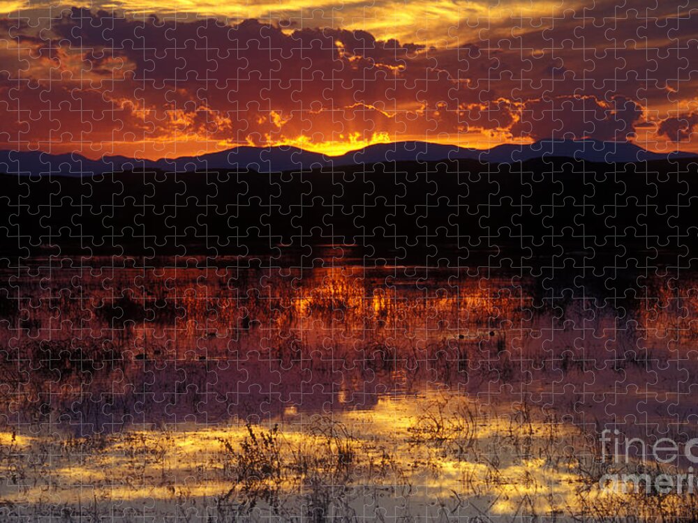 Bosque Jigsaw Puzzle featuring the photograph Bosque Sunset - orange by Steven Ralser
