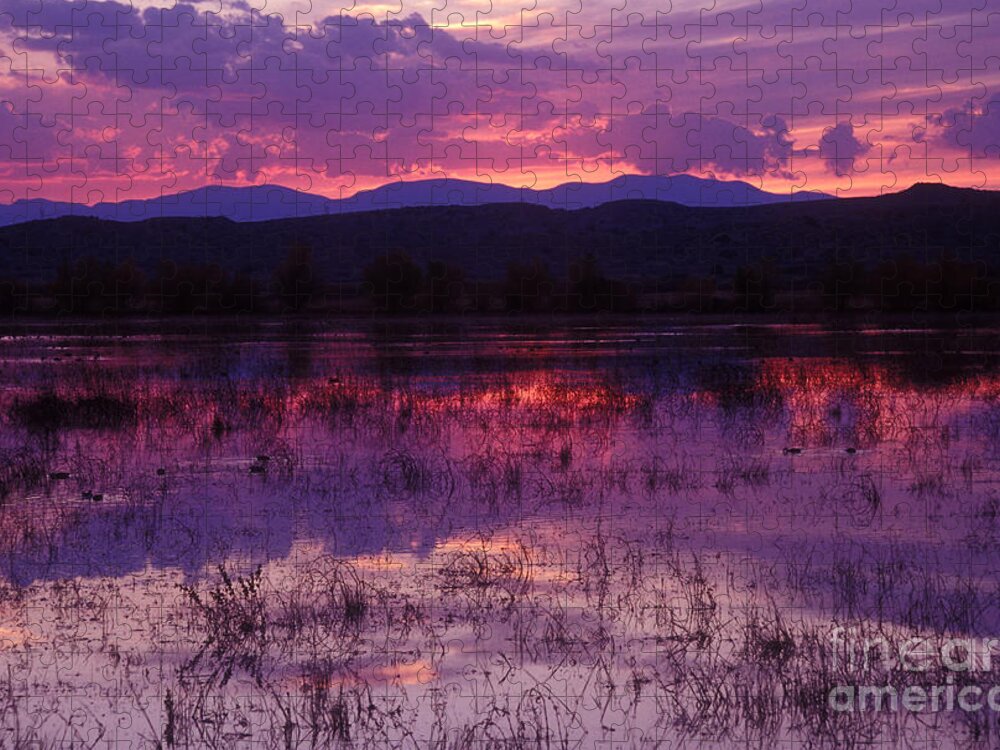 Bosque Jigsaw Puzzle featuring the photograph Bosque sunset - purple by Steven Ralser