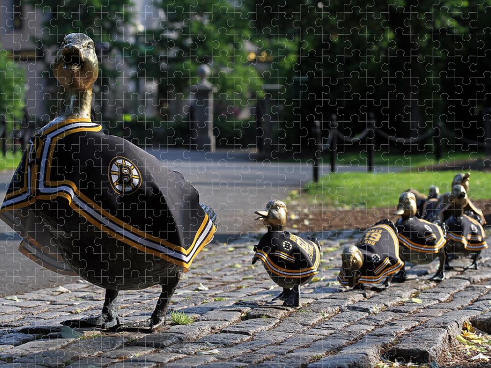 Bruins Jigsaw Puzzle featuring the photograph Boston Bruins Ducklings by Juergen Roth