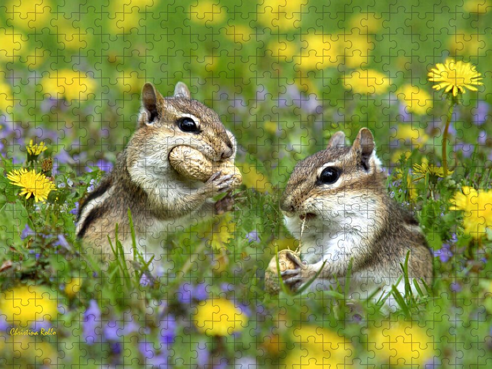 Chipmunk Jigsaw Puzzle featuring the photograph Bountiful Generosity by Christina Rollo