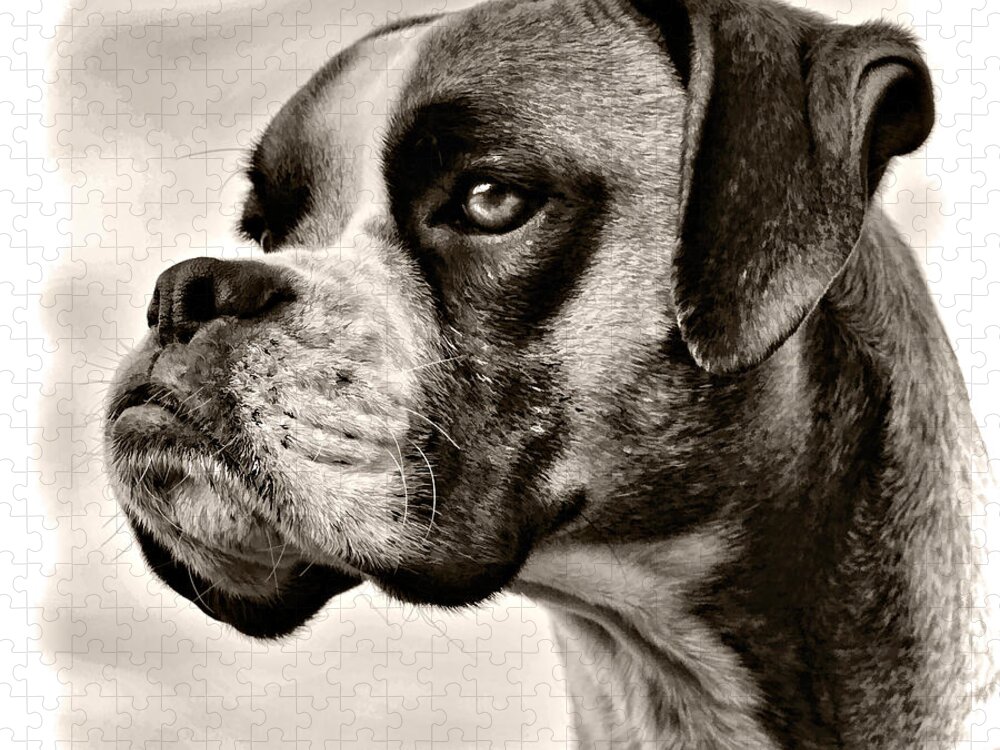 Adorable Jigsaw Puzzle featuring the photograph Boxer Profile by Lana Trussell