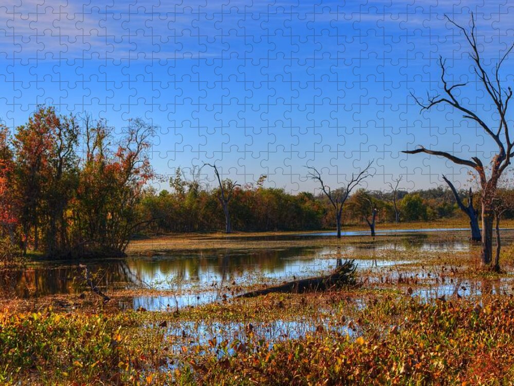 Swamp Jigsaw Puzzle featuring the photograph Brazos Bend Swamp by David Morefield