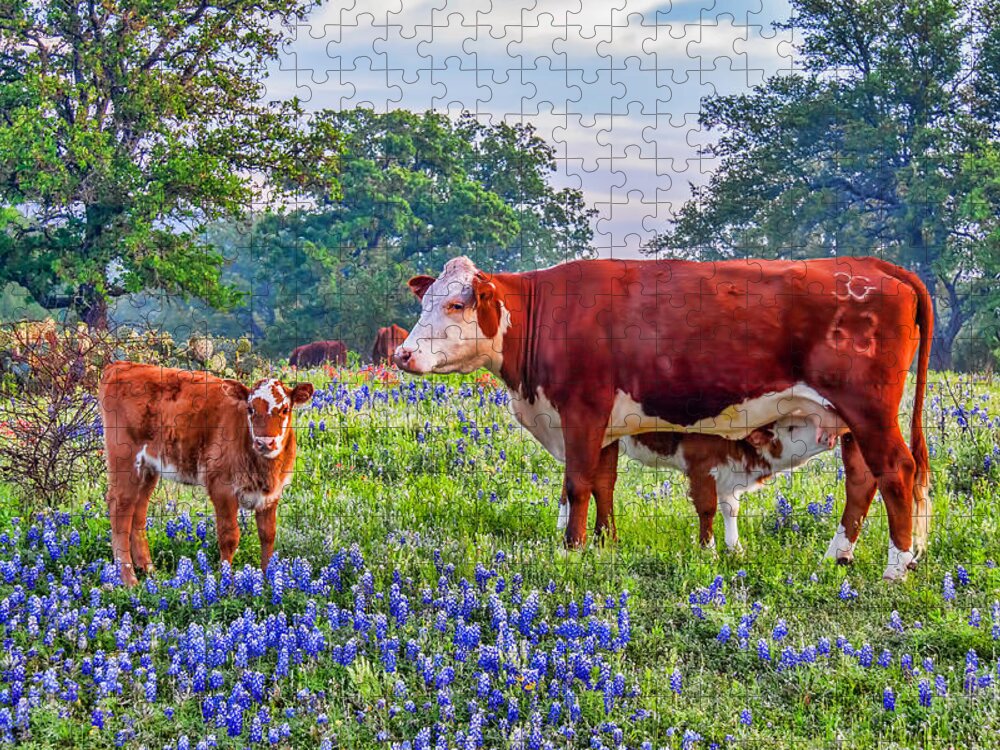 Texas Jigsaw Puzzle featuring the photograph Breakfast in the Bluebonnets by Tom Weisbrook