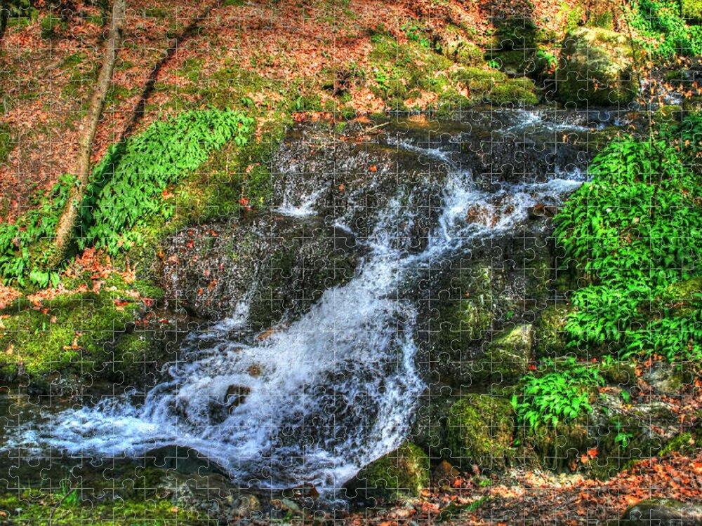 Water Falls Jigsaw Puzzle featuring the photograph Breath Deeply by Doc Braham