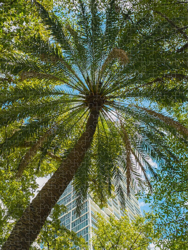 Brickell Park Jigsaw Puzzle featuring the photograph Brickell Park by Raul Rodriguez