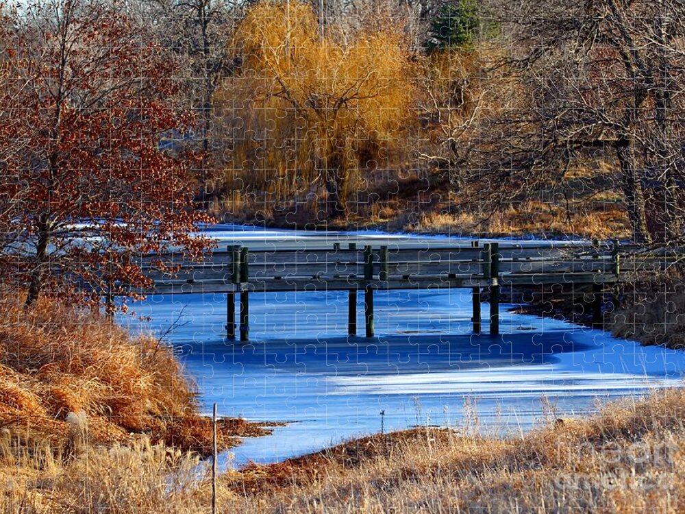 Landscape Jigsaw Puzzle featuring the photograph Bridge over Icy Waters by Elizabeth Winter