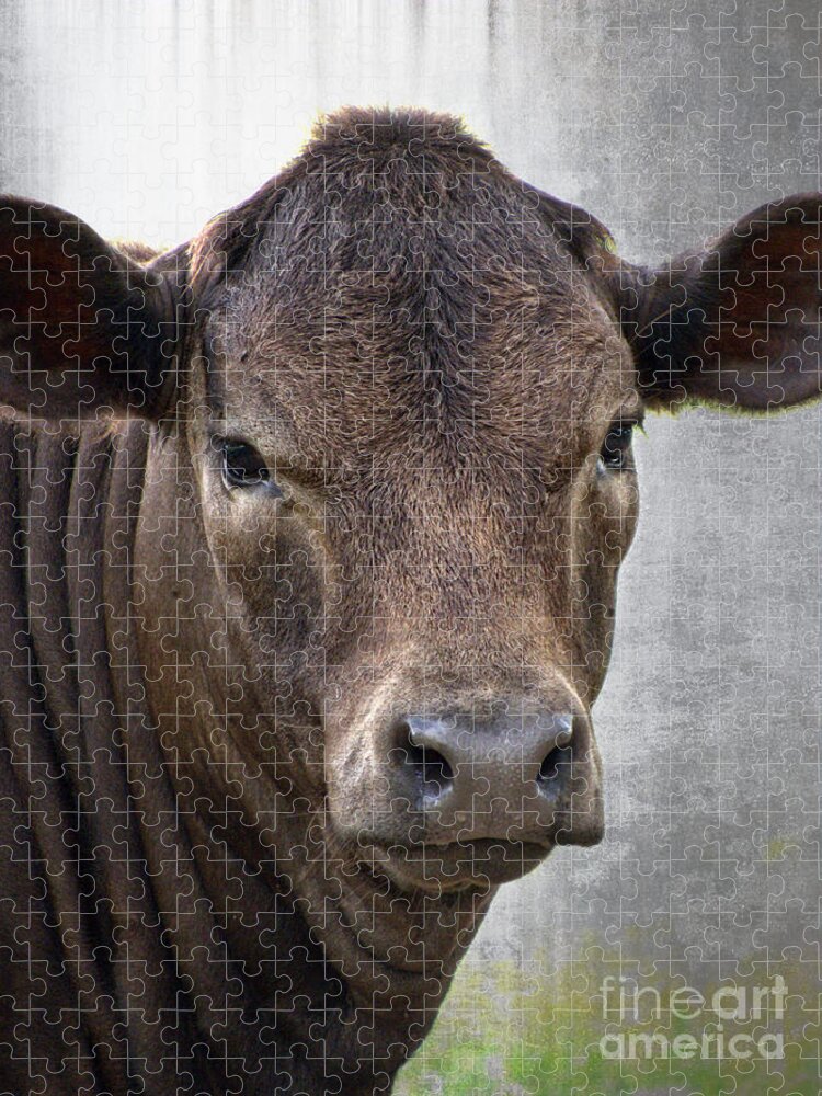 Cow Jigsaw Puzzle featuring the photograph Brown Eyed Boy - Calf Portrait by Ella Kaye Dickey