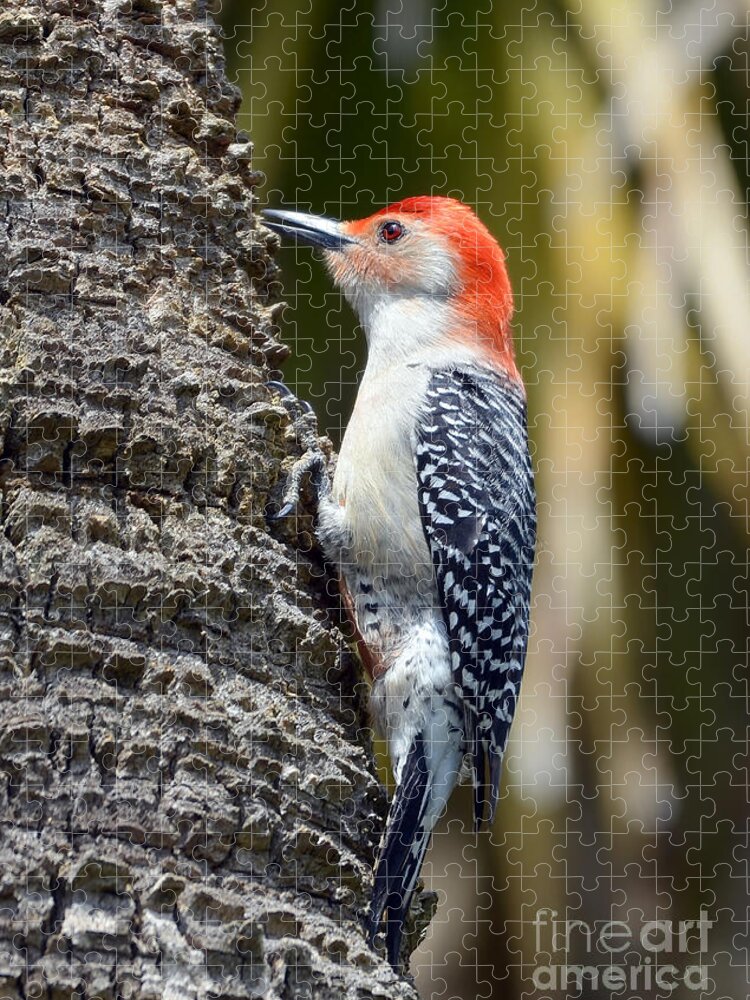 Woodpecker Jigsaw Puzzle featuring the photograph Building A Home by Kathy Baccari