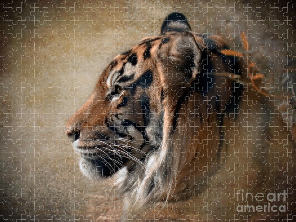 Tiger Jigsaw Puzzle featuring the photograph Burning Bright by Betty LaRue