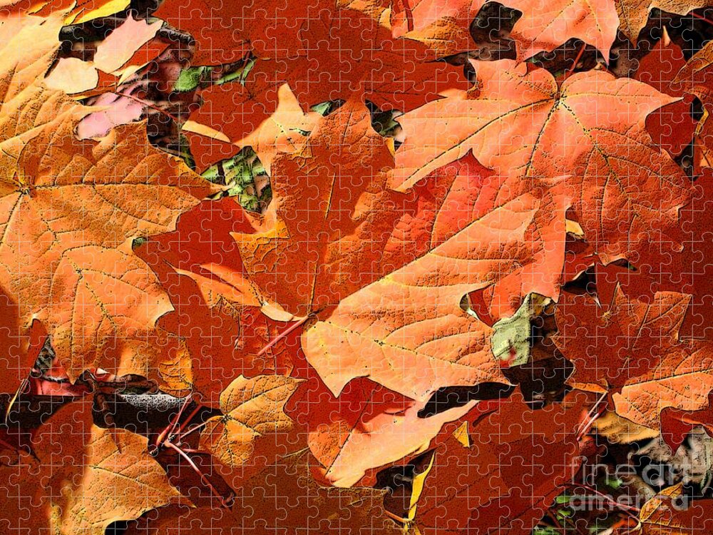Autumn Jigsaw Puzzle featuring the photograph Burnt Orange by Ann Horn