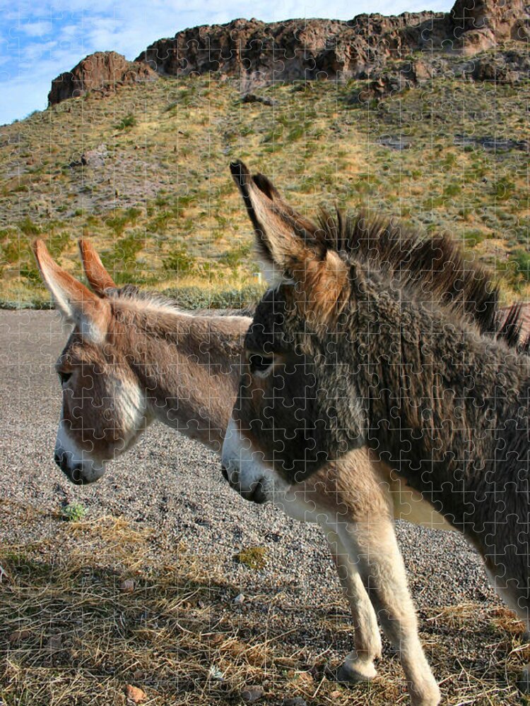Mules Jigsaw Puzzle featuring the photograph Burros by Kristin Elmquist